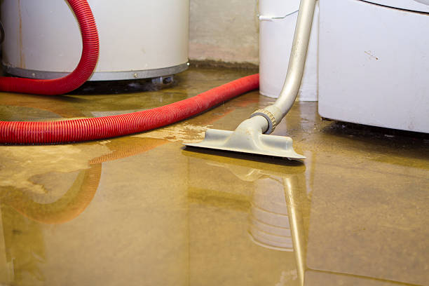Best Carpet water damage restoration  in Parkwood, CA